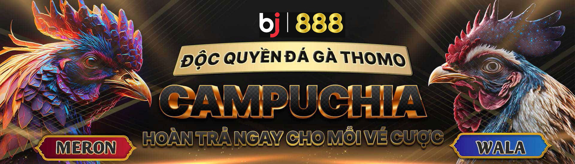 Banner BJ888